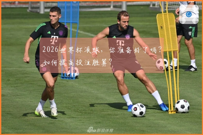 2026世界杯滚球，你准备好了吗？如何提高投注胜算？