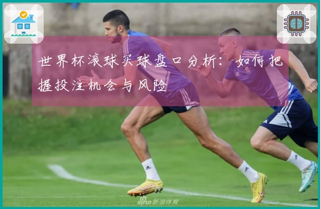 世界杯滚球买球盘口分析：如何把握投注机会与风险