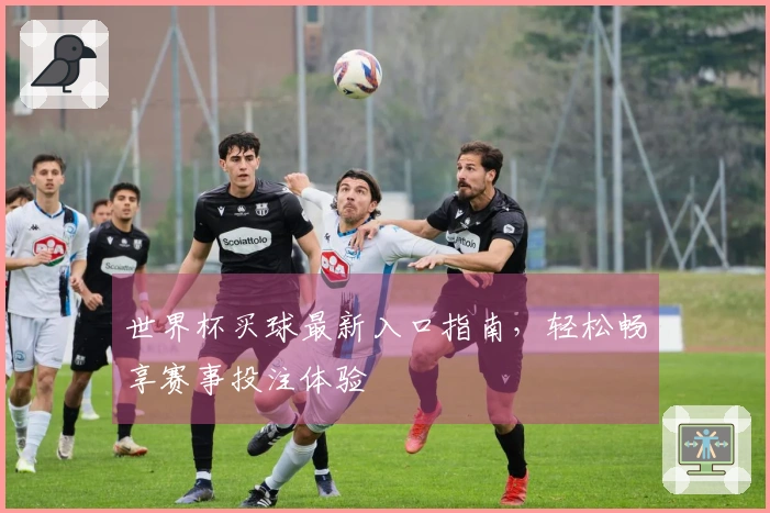 世界杯买球最新入口指南，轻松畅享赛事投注体验