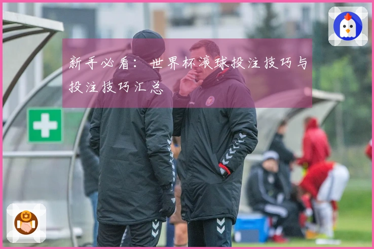 新手必看：世界杯滚球投注技巧与投注技巧汇总