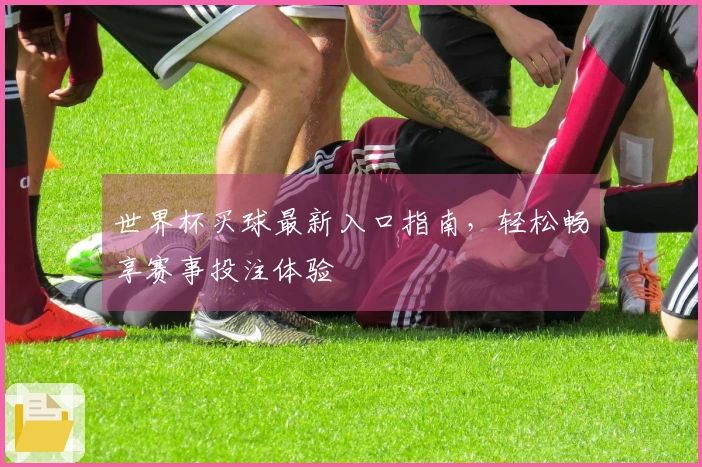 世界杯买球最新入口指南，轻松畅享赛事投注体验