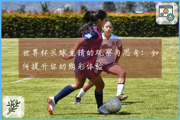 世界杯买球竞猜的观察与思考：如何提升你的购彩体验