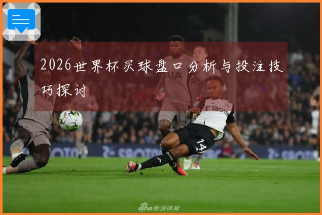 2026世界杯买球盘口分析与投注技巧探讨