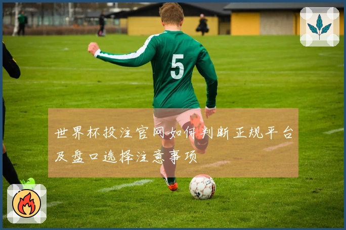 世界杯投注官网如何判断正规平台及盘口选择注意事项
