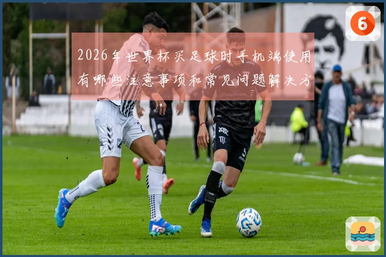 2026年世界杯买足球时手机端使用有哪些注意事项和常见问题解决方法