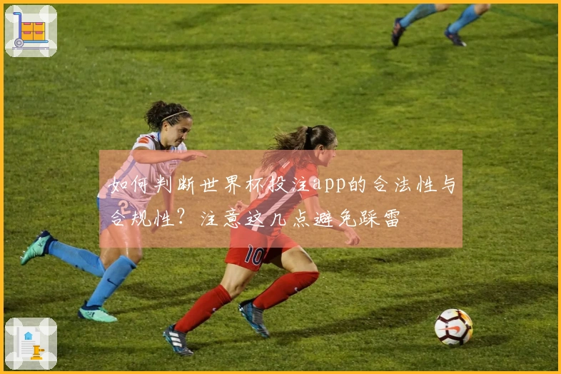 如何判断世界杯投注app的合法性与合规性？注意这几点避免踩雷