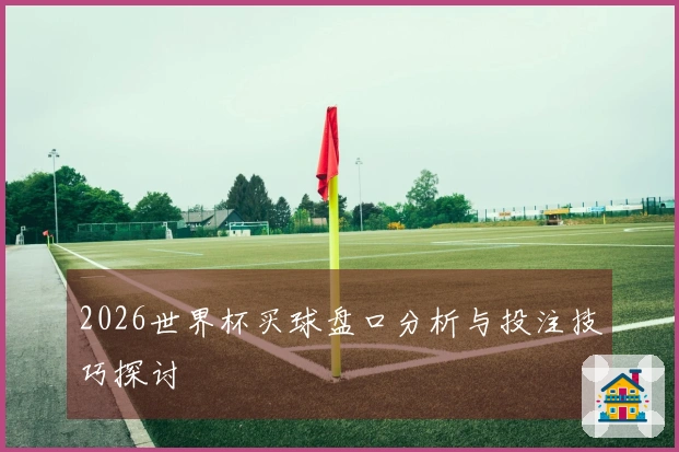 2026世界杯买球盘口分析与投注技巧探讨