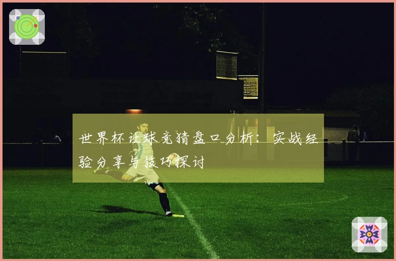 世界杯让球竞猜盘口分析：实战经验分享与技巧探讨